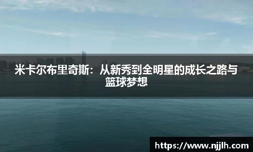 米卡尔布里奇斯：从新秀到全明星的成长之路与篮球梦想